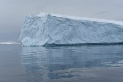 DSC_9985.JPG