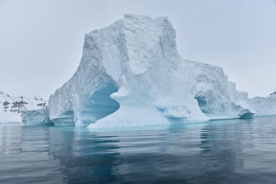 DSC_9990.JPG