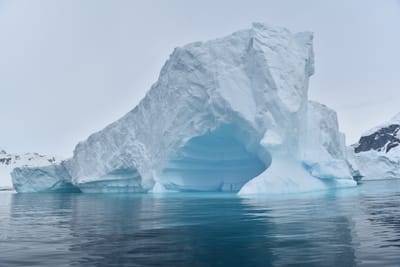 DSC_9991.JPG