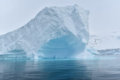 DSC_9992.JPG