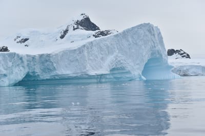 DSC_9995.JPG