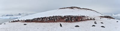 pano 1.3.2.jpg