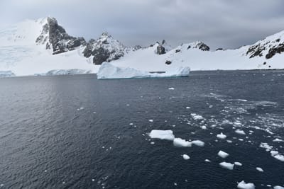DSC_9475.JPG