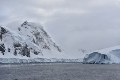 DSC_9477.JPG