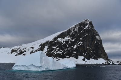 DSC_9478.JPG