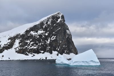DSC_9481.JPG