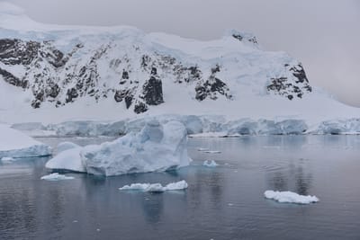DSC_0273.JPG