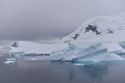 DSC_0274.JPG