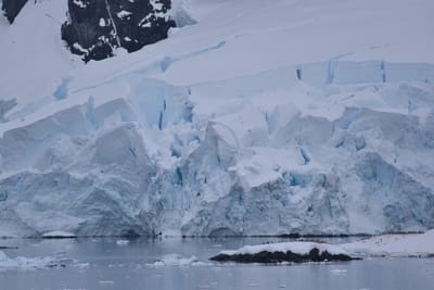 DSC_0305.JPG