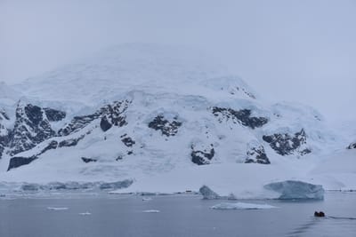 DSC_0319.JPG
