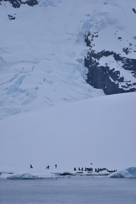 DSC_0321.JPG