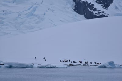 DSC_0322.JPG