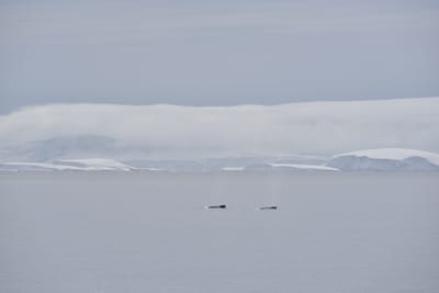 DSC_9869.JPG