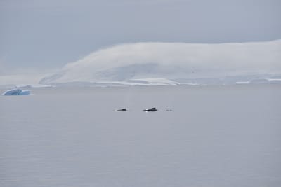 DSC_9870.JPG