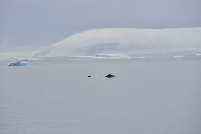 DSC_9871.JPG