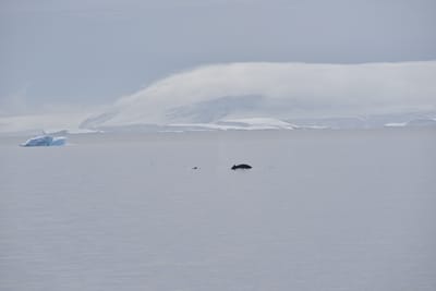 DSC_9872.JPG