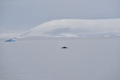 DSC_9873.JPG