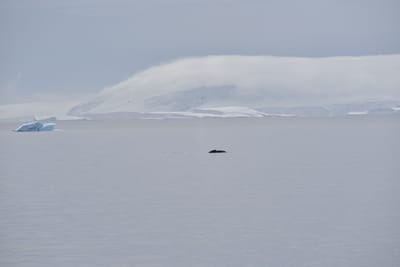 DSC_9874.JPG