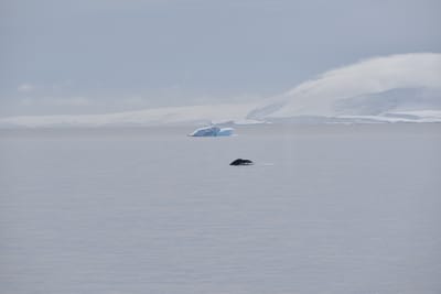 DSC_9875.JPG