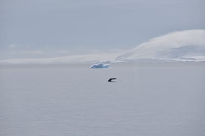 DSC_9876.JPG