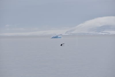DSC_9877.JPG