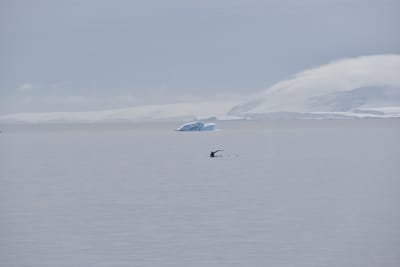 DSC_9878.JPG