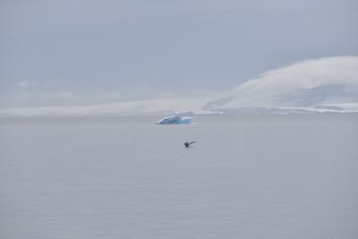 DSC_9879.JPG