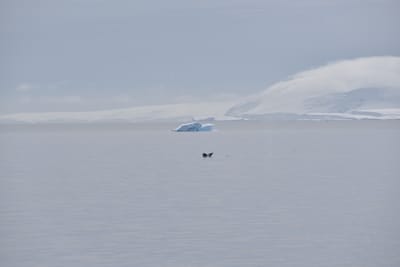 DSC_9880.JPG