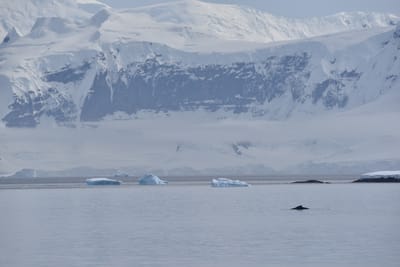 DSC_9888.JPG