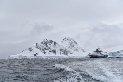 DSC_9490.JPG