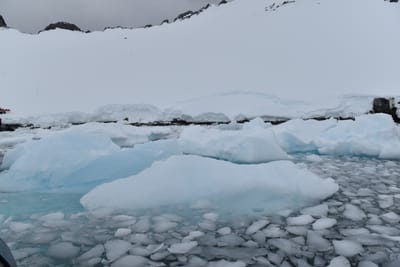DSC_9495.JPG