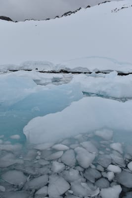 DSC_9496.JPG