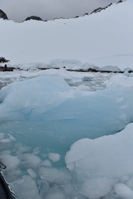 DSC_9497.JPG