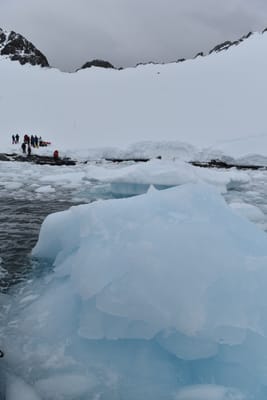 DSC_9498.JPG