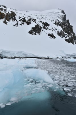 DSC_9503.JPG