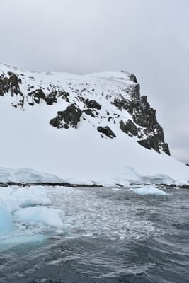 DSC_9504.JPG