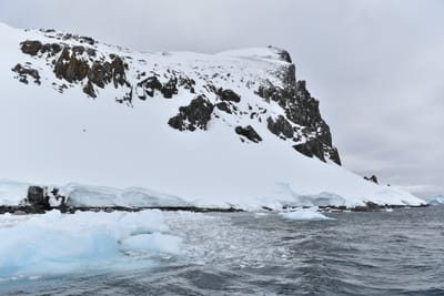 DSC_9505.JPG