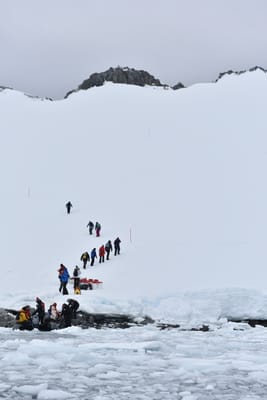 DSC_9506.JPG