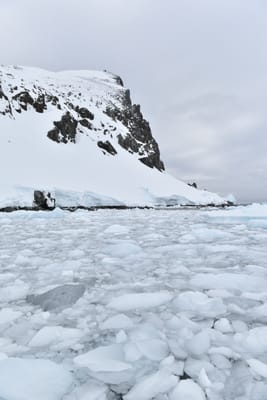 DSC_9511.JPG