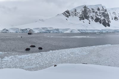 DSC_9515.JPG