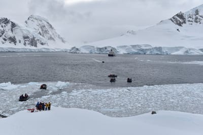 DSC_9516.JPG