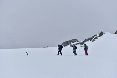 DSC_9517.JPG