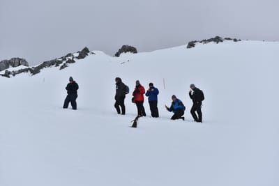 DSC_9518.JPG