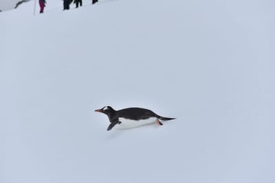 DSC_9521.JPG