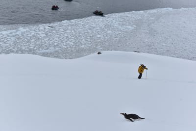 DSC_9524.JPG