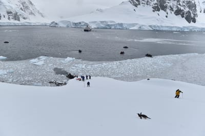 DSC_9525.JPG