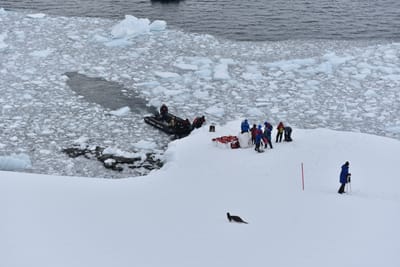 DSC_9526.JPG