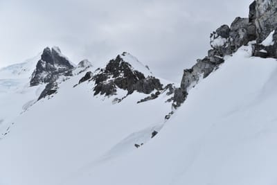 DSC_9536.JPG