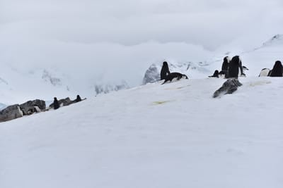 DSC_9540.JPG