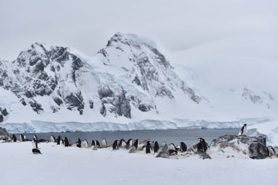DSC_9541.JPG